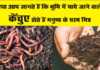 क्या आप जानते हैं कि भूमि में पाये जाने वाले केंचुए हैं वास्तव में मनुष्य के परम मित्र ?