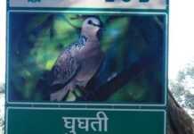 संस्मरण – लैंसडाउन शहर इतिहास सिखाता है