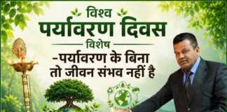 विश्व पर्यावरण दिवस विशेष -पर्यावरण के बिना तो जीवन संभव नहीं है