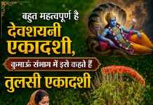 बहुत महत्वपूर्ण है देवशयनी एकादशी, कुमाऊं संभाग में इसे कहते हैं तुलसी एकादशी