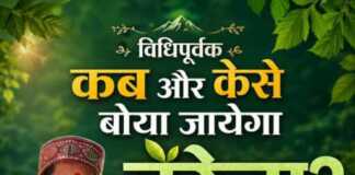 विधिपूर्वक कब और कैसे बोया जायेगा हरेला? आइए जानते हैं?