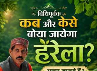 विधिपूर्वक कब और कैसे बोया जायेगा हरेला? आइए जानते हैं?